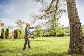 Best Emergency Tree Removal  in Lightstreet, PA